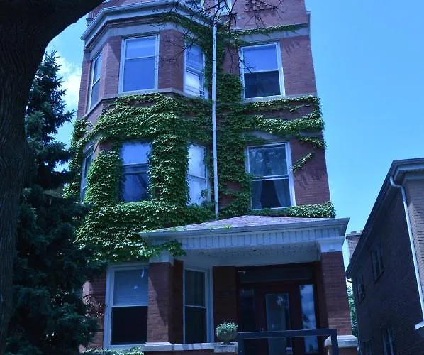 Apartment Sunny, Spacious, 3br 1ba Davlin Chicago